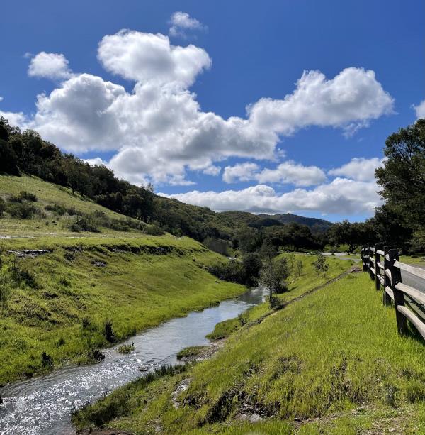 /Images/uploads/Sonoma County Regional Parks Foundation/springlake50/entries/28909thumb.jpg